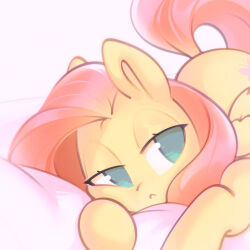 fluttershy from my little pony