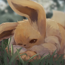 eevee from pokemon