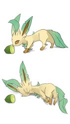 leafeon from pokemon