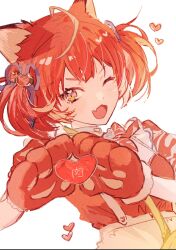 akami karubi from crazy raccoon