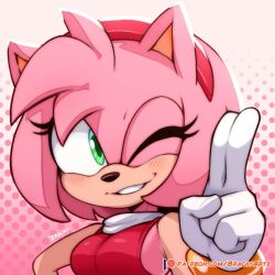 amy rose from sonic (series)