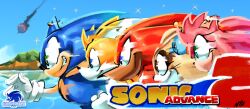 amy rose from sonic (series)