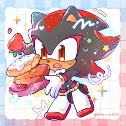 shadow the hedgehog from sonic (series)