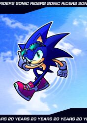 sonic the hedgehog from sonic (series)