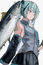 hatsune miku from vocaloid