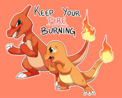 charmander from pokemon