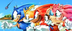 amy rose from sonic (series)