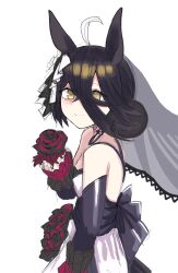 manhattan cafe (umamusume) from umamusume