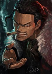 crocodile (one piece) from one piece