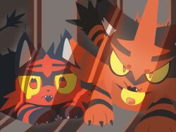 litten from pokemon