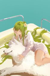 fate/strange fake fan art