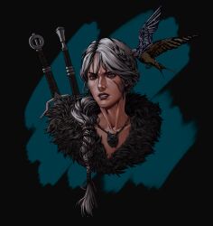 ciri from the witcher (series)