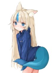 sameko saba from indie virtual youtuber