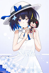 seele (alter ego) from honkai (series)
