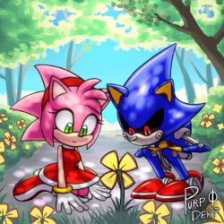 amy rose from sonic (series)
