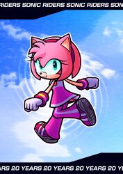 amy rose from sonic (series)