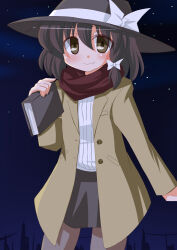 usami renko from touhou