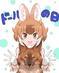 dhole (kemono friends) from kemono friends