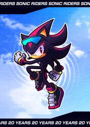 shadow the hedgehog from sonic (series)