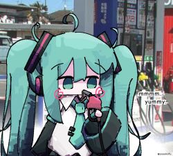hatsune miku from vocaloid