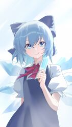 cirno from touhou