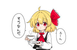 rumia from touhou