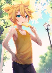 kagamine len from vocaloid