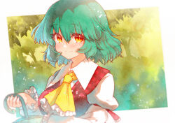 kazami yuuka from touhou