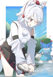 inubashiri momiji from touhou