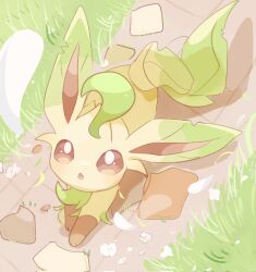 leafeon from pokemon