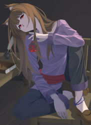 holo from spice and wolf