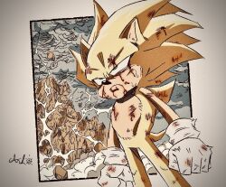 sonic the hedgehog from dragon ball