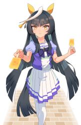 calstone light o (umamusume) from umamusume
