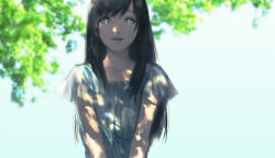 maya (fatal frame) from fatal frame by sasa asako