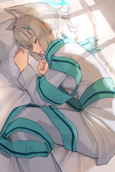 shiroko (blue archive) from blue archive