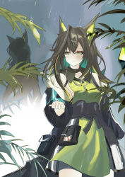 mon3tr (arknights) from arknights