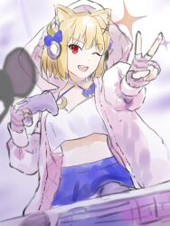 arcueid brunestud from fate/grand order