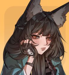 hoshimi miyabi from zenless zone zero