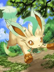 leafeon from pokemon