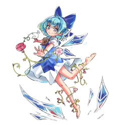 cirno from touhou