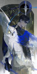 dick grayson from batman (series)
