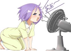 hiiragi tsukasa from lucky star