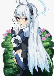 miyako (blue archive) from blue archive