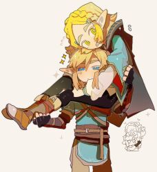 link from the legend of zelda