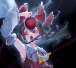 hakurei reimu from touhou