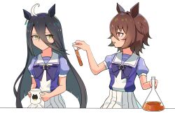 agnes tachyon (umamusume) from umamusume