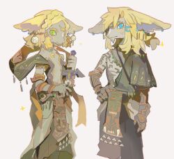 link from the legend of zelda