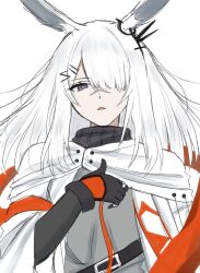 frostnova (arknights) from arknights