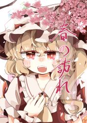 flandre scarlet from touhou by tsumurikoto