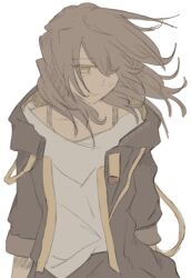 stelle (honkai: star rail) from honkai: star rail